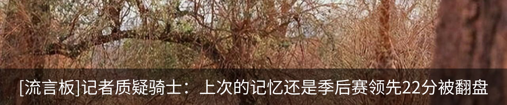 行业资讯